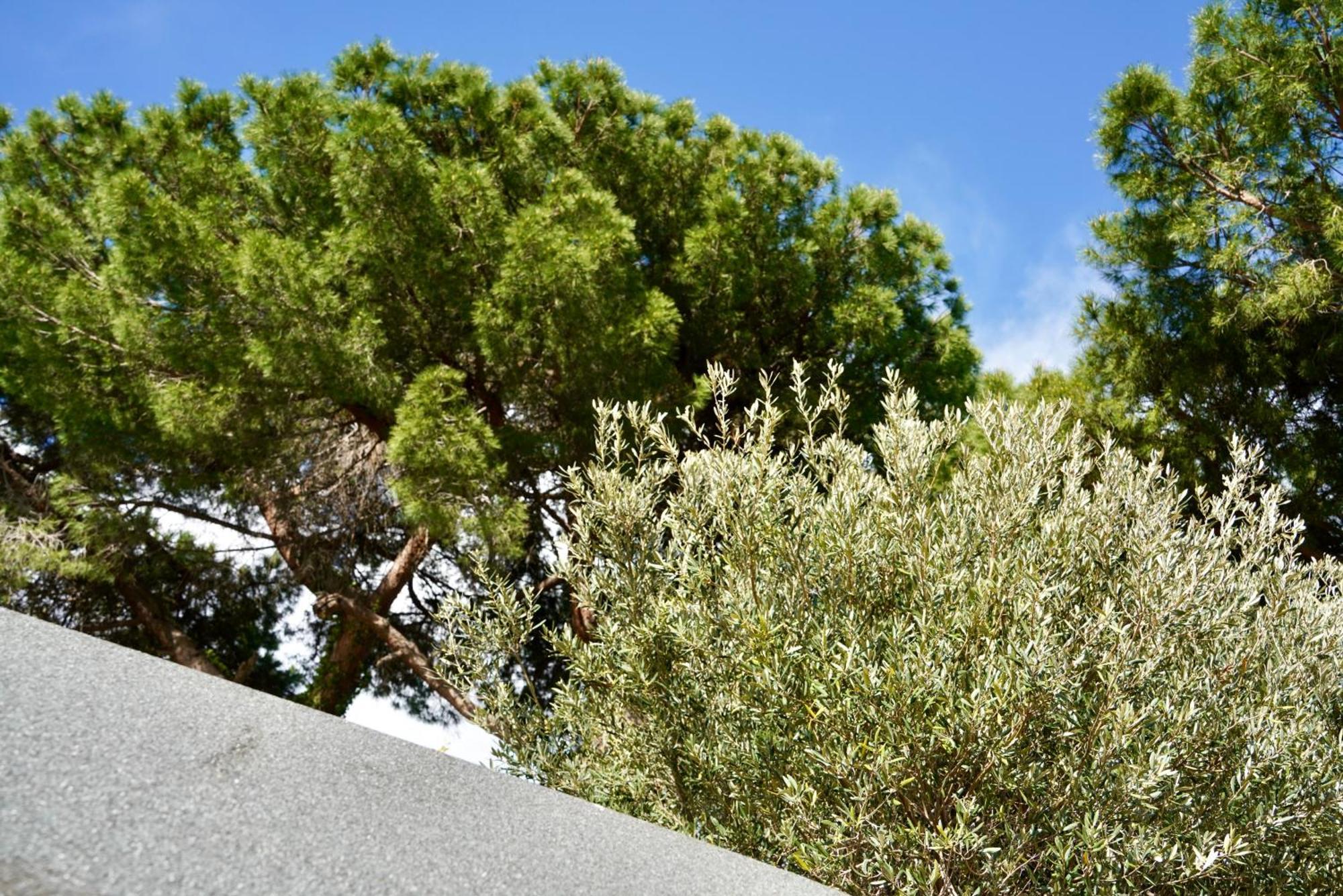 Starsbox Jacuzzi Privata E Piscina Vista Mare Hotel Celle Ligure Exterior photo